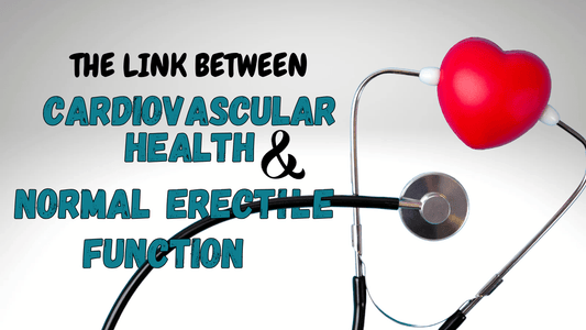 Normal Erectile Function